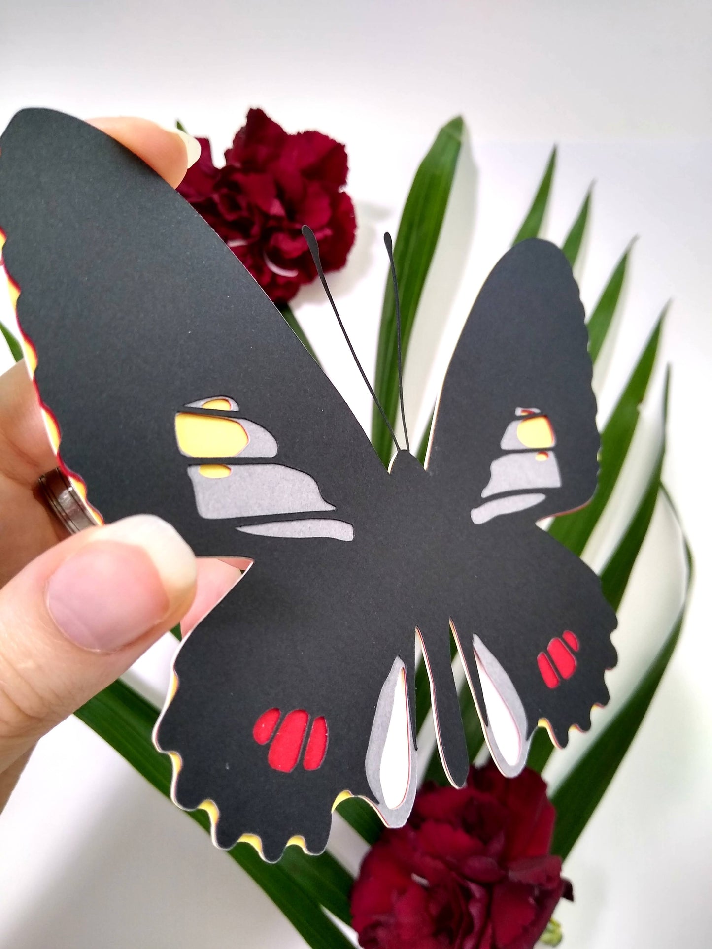 Variable Cattleheart Butterfly Magnet