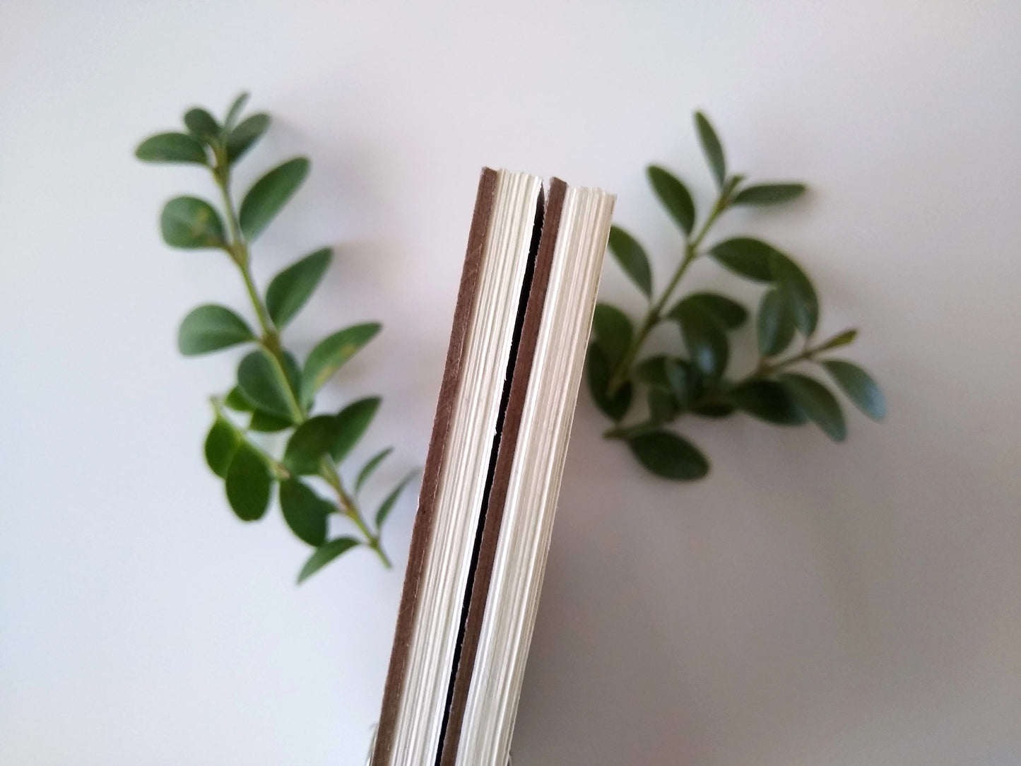The edge of two notepads, showing the thing glue holding the pages together. Springs of leaves are in the background, out of focus.