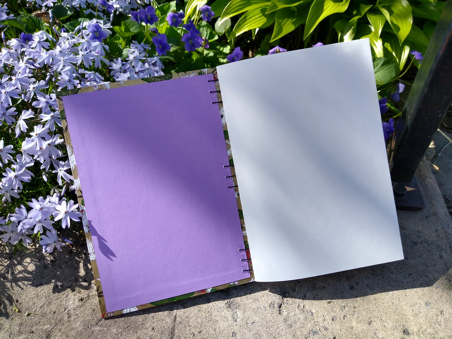 Wisteria and Cranes Sketchbook