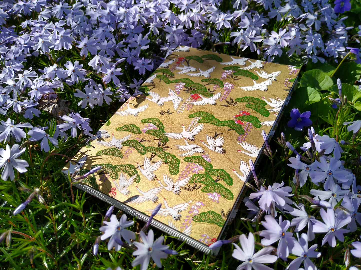 Wisteria and Cranes Sketchbook