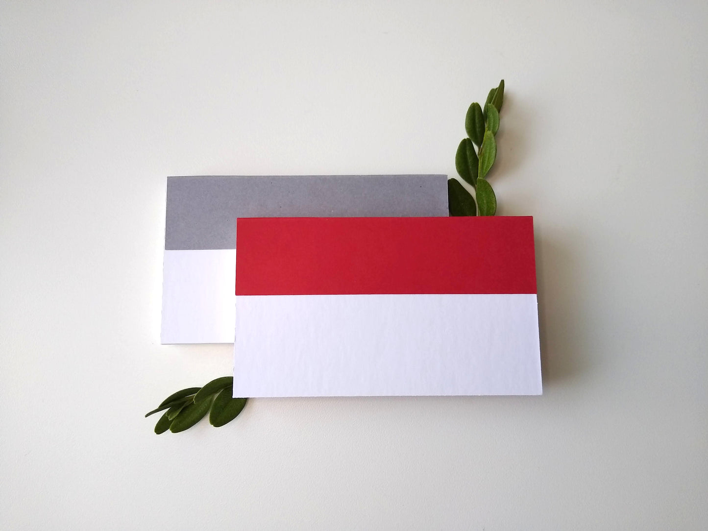 The back of the notepads shows how the colored covers are glued to the back cardboard. They rest on a white background with two sprigs of green leaves around them.