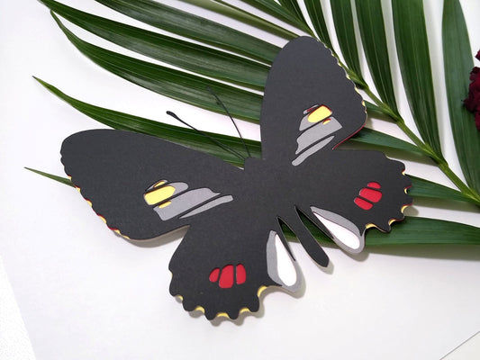 Variable Cattleheart Butterfly Magnet