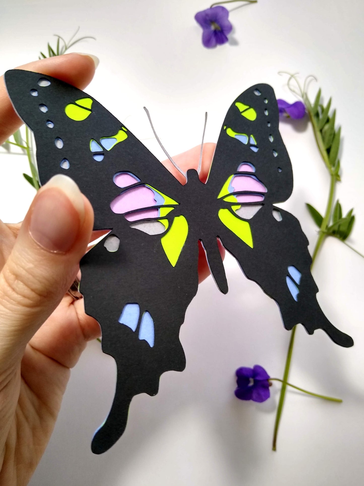 Purple Spotted Swallowtail Butterfly Magnet