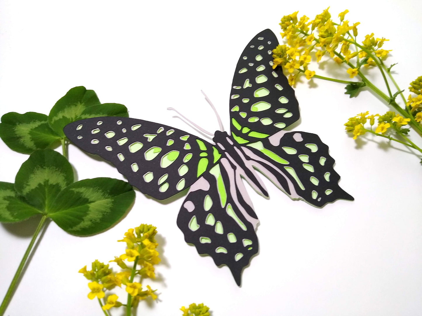 Tailed Jay Butterfly Magnet