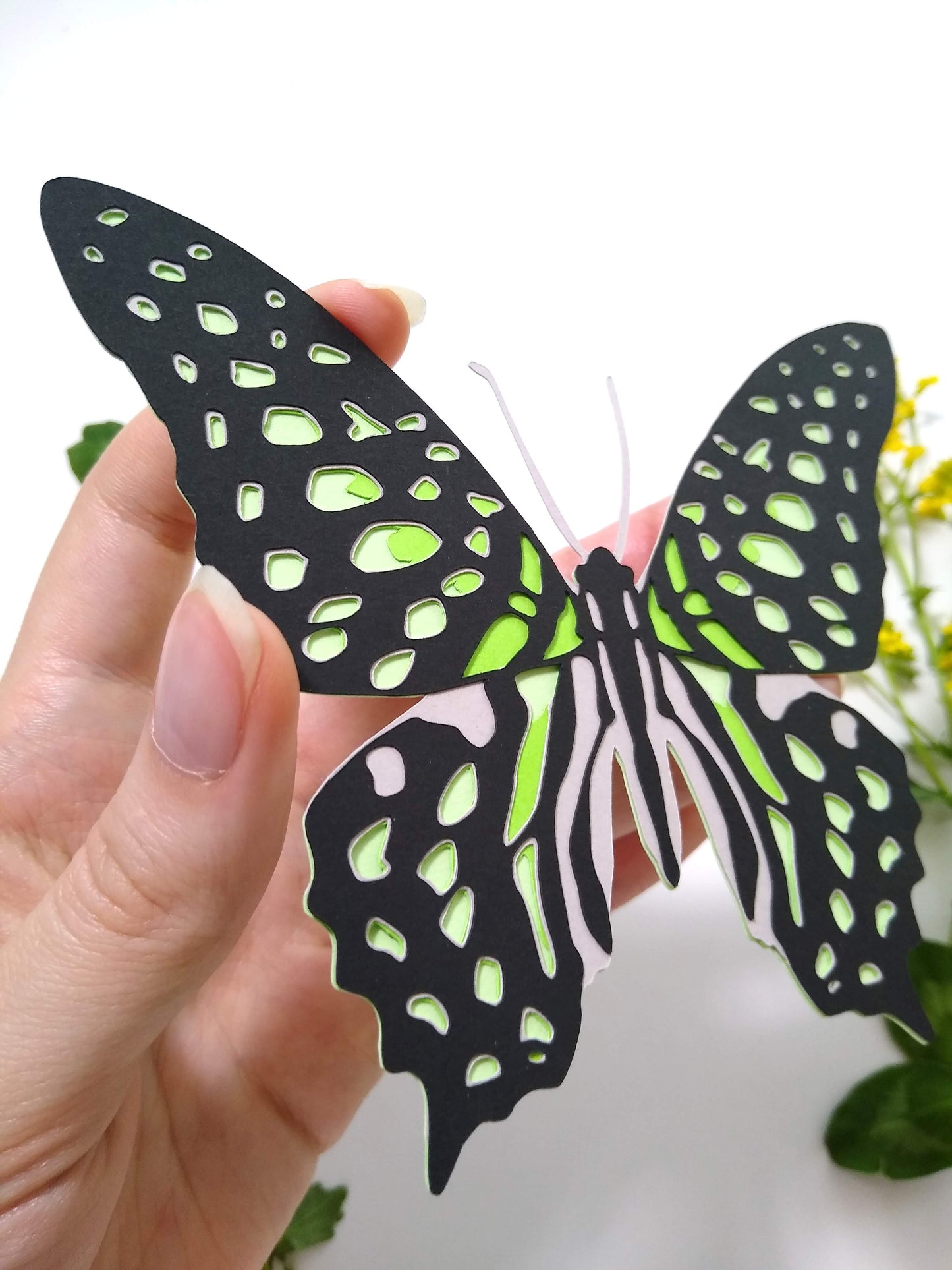 Tailed Jay Butterfly Magnet