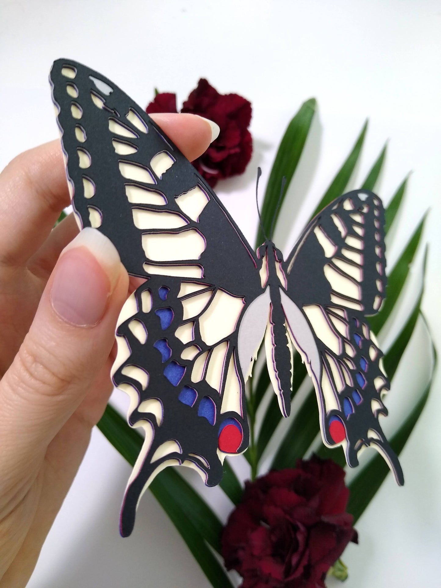 Old World Swallowtail Butterfly Magnet