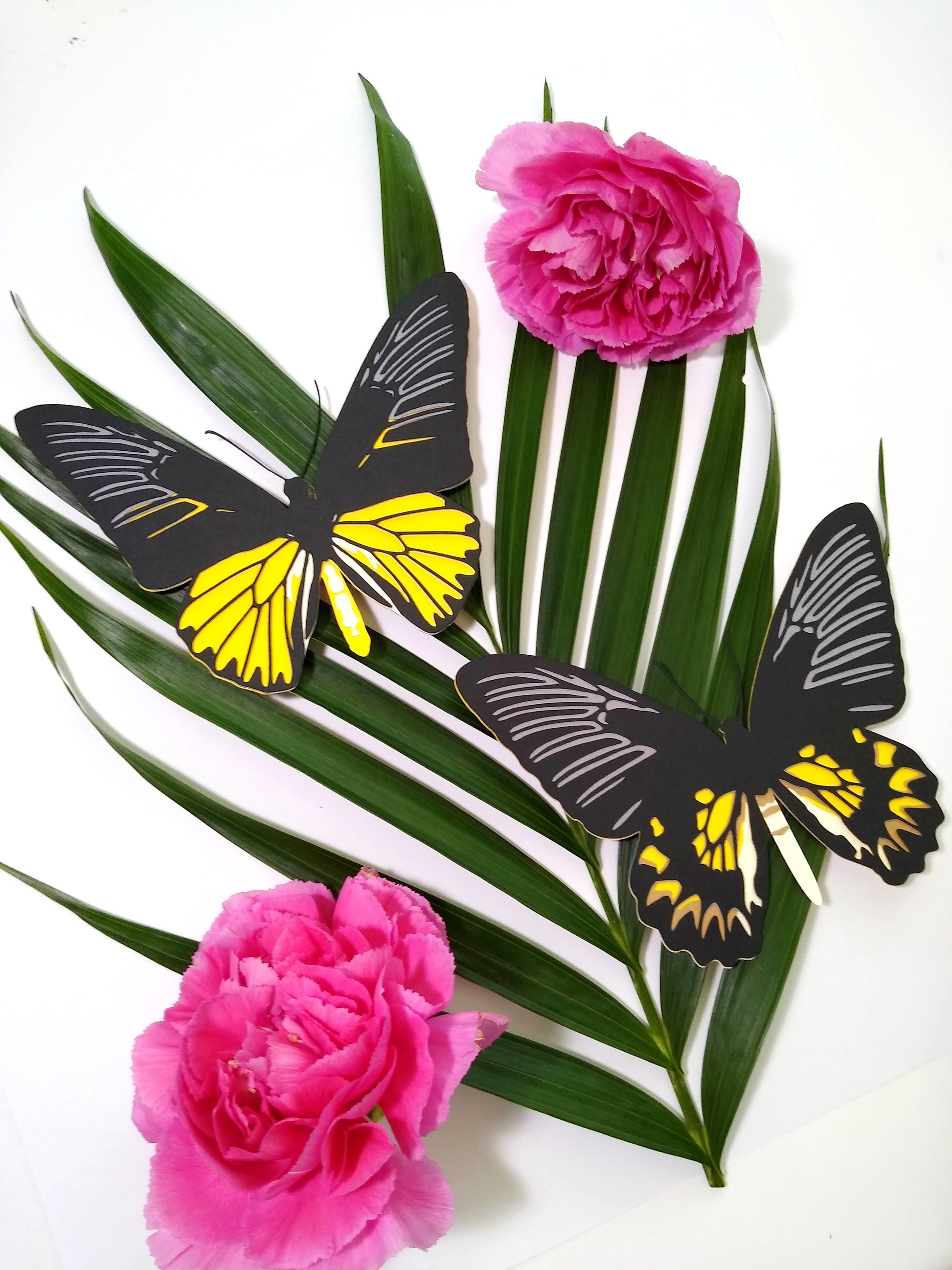 Two multi-layered paper butterflies, in the design of a male and female Magellan Birdwing butterfly. They rest on a large sprig of leaves and beside two pink flowers.