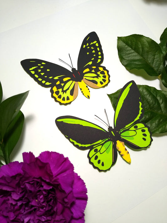 Two multi-layered paper butterflies rest on a table. They are in the design of the front and back of a Cairns Birdwing butterfly. They rest between sprigs of leaves and a purple flower.