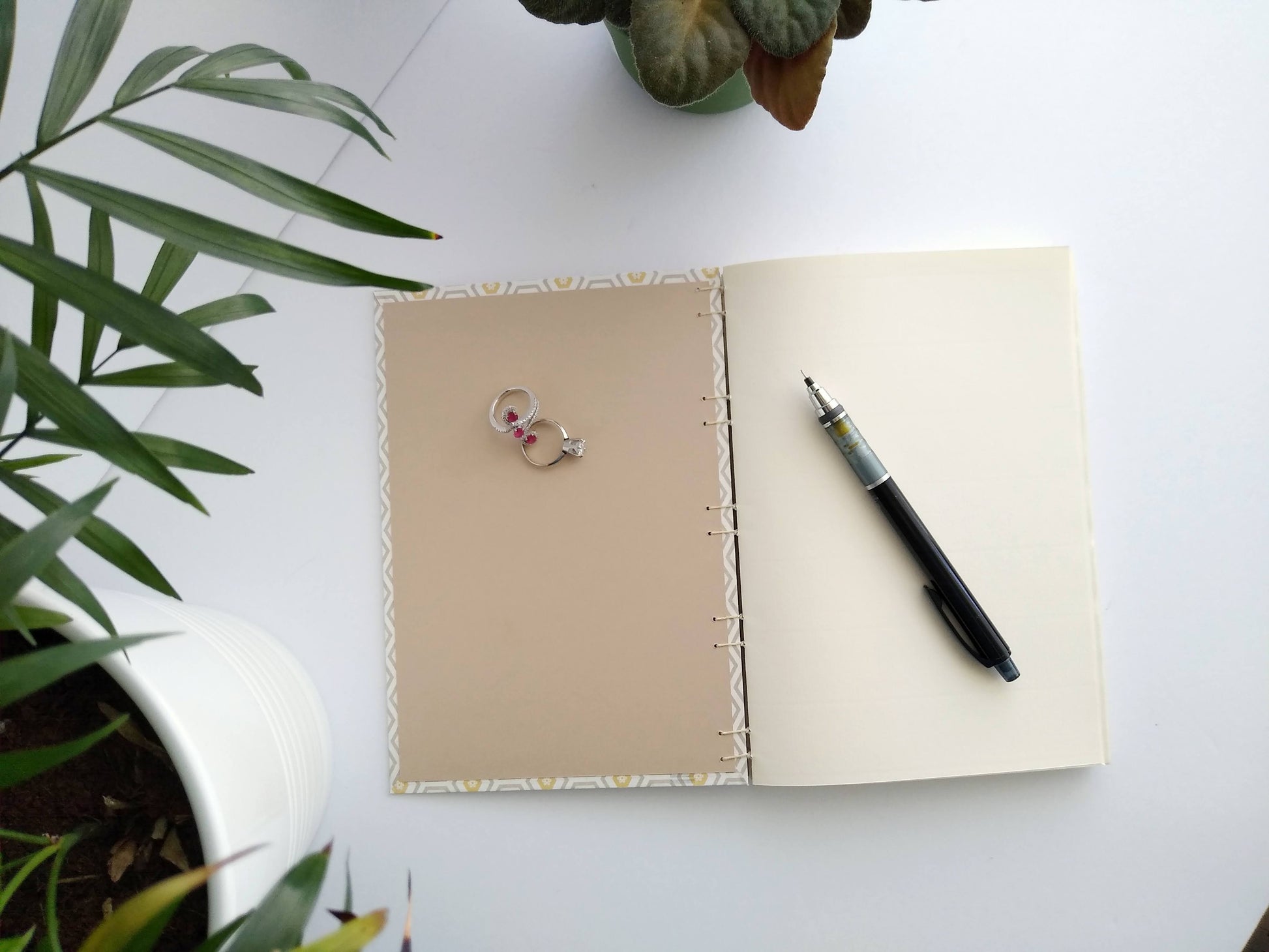 An open journal lays on a white background next to two potted plants. The journal has shows the inside cover with a taupe colored endpaper and the blank cream pages inside. There are two rings and a black mechanical pencil resting on top.