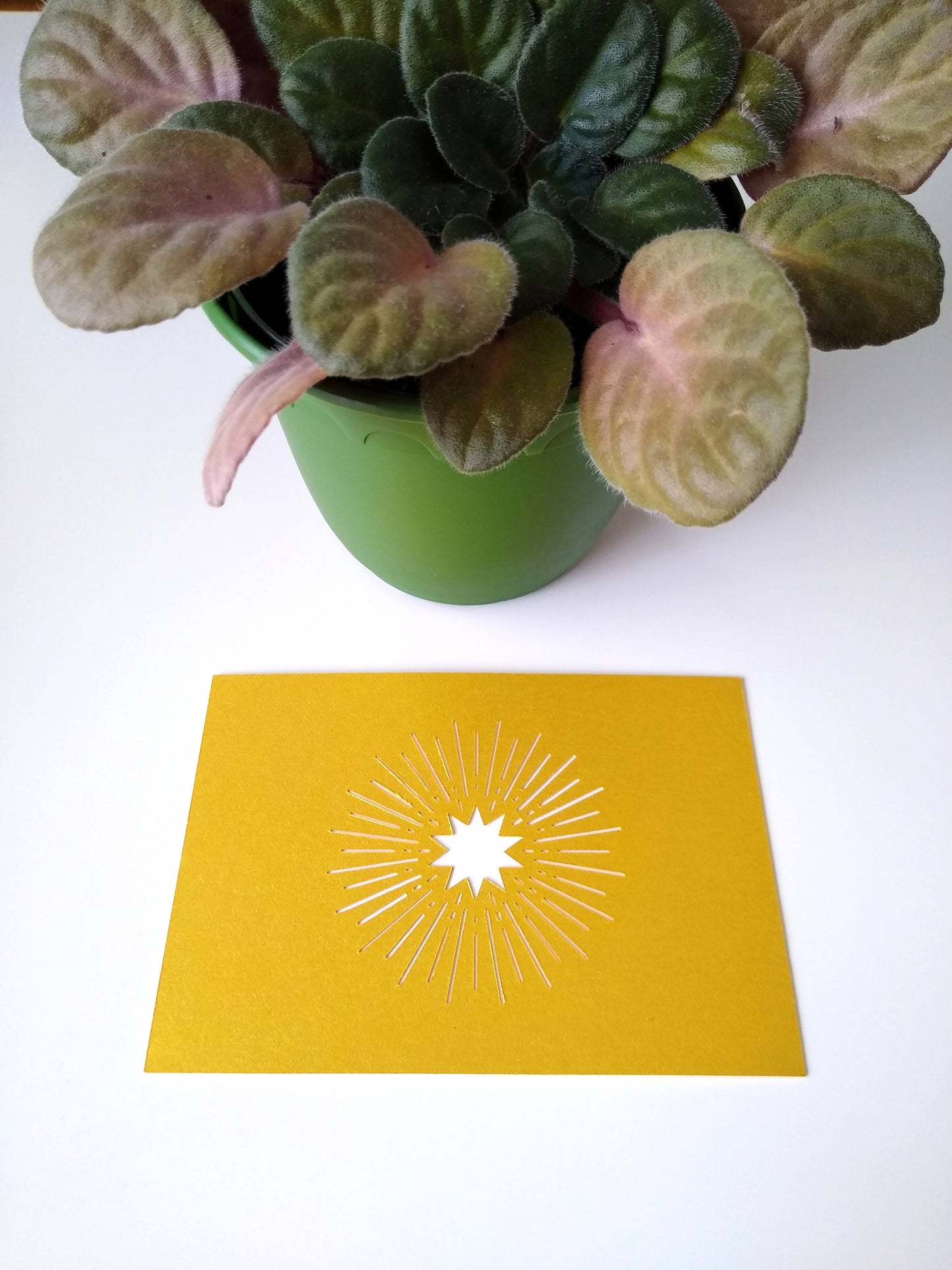 Close up of a gold postcard with a white starburst next to a potted plant.