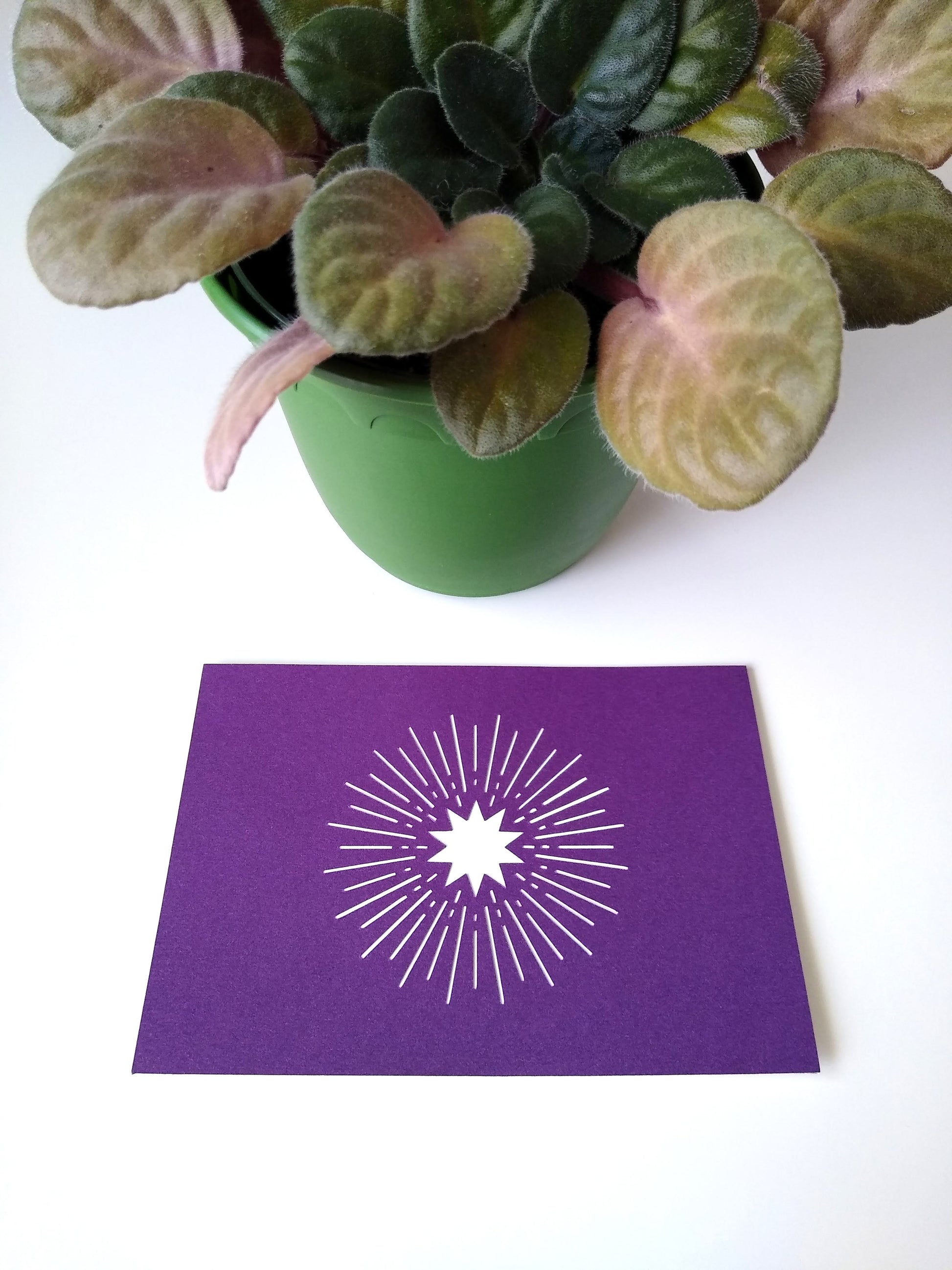 Close up of a metallic purple postcard with a white starburst next to a potted plant.