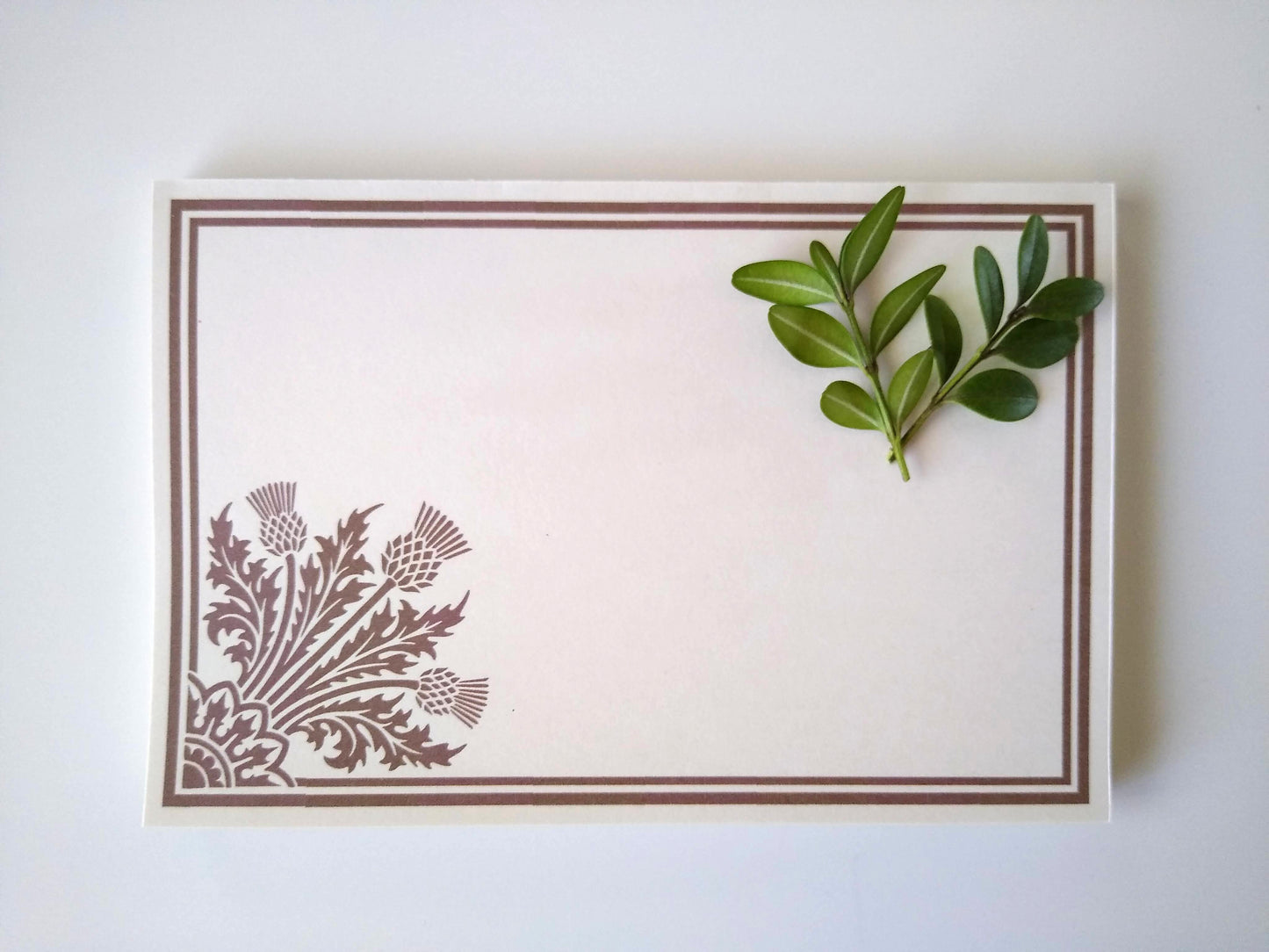 Single notepad with a stylized thistle design in the lower left corner. There is a double line border around the whole notepad. Two small sprigs of leaves rest on the upper right hand corner.
