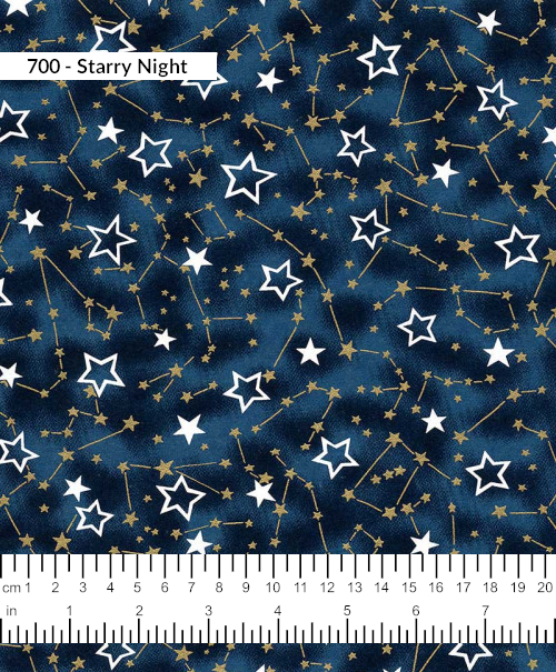 700 - Starry Night